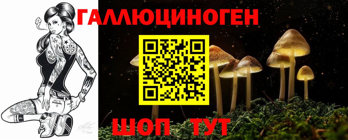 Галлюциногенные грибы мухоморы  Вход с VPN  Озёры 