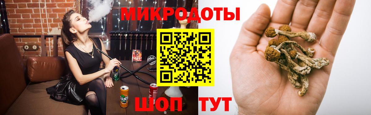 Галлюциногенные грибы Psilocybe Озёры